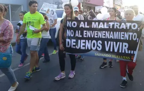 Chitreanos piden hacer cumplir ley 70 de protección animal