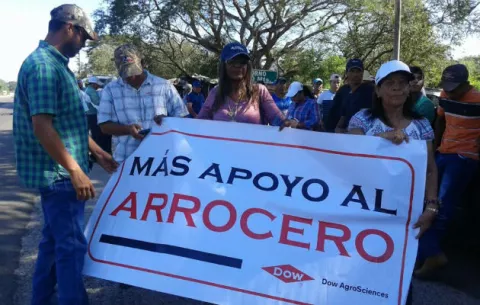Arroceros y unidades policiales se enfrentan en Divisa