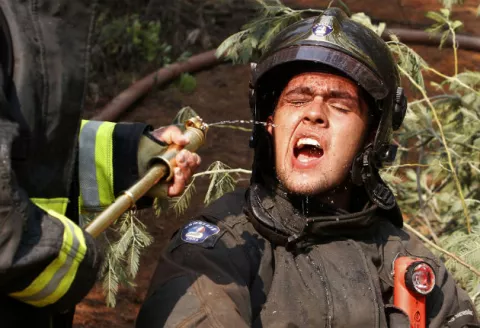 Incendios forestales destruyen todo a su paso en Chile 