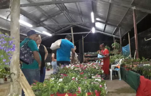 Feria de La Candelaria, una alternativa para vacaciones