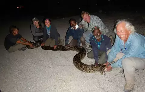 Cazadores de la India combaten a las pitones en Florida
