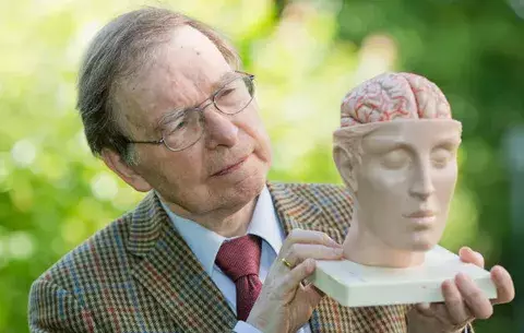Desarrollan una "aguja inteligente" para operaciones de cerebro