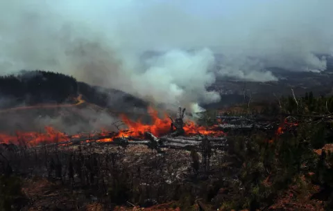Arden incendios forestales en Chile y Argentina 