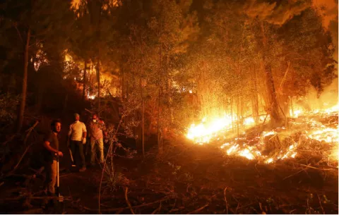 Mueren dos policías chilenos en zona afectada por incendios forestales