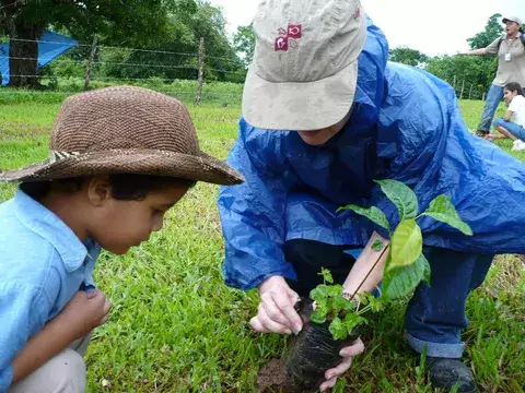 Reforestarán la parte alta de la cuenca del río La Villa