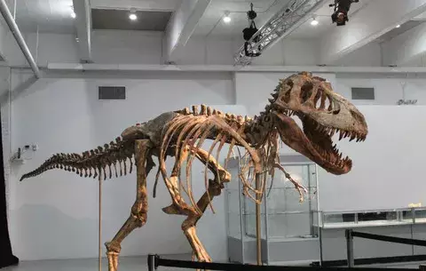 La incubación de los huevos de dinosaurio era de 3 a 6 meses