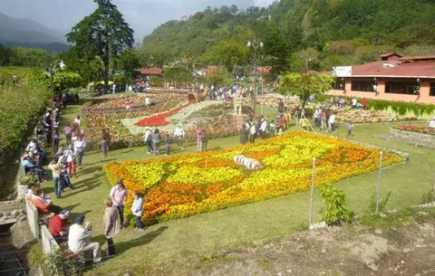 Más de 150 mil personas visitaron la Feria de Las Flores y del Café