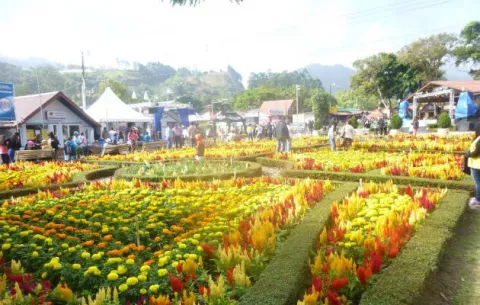 Patronato de la feria de Boquete positivo de que el clima mejorará
