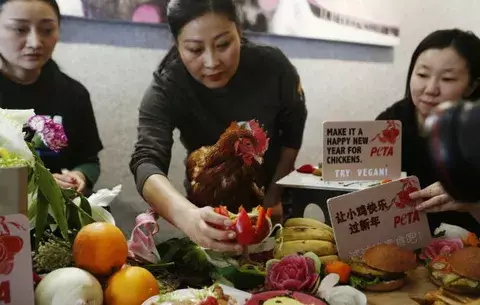 PETA quiere impedir que China coma pollo en el Año del Gallo