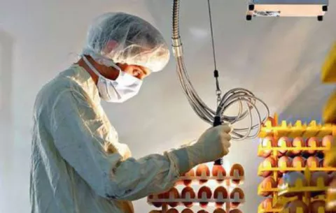 Brasil registró 1,987 muertes por causa de la gripe A en 2016