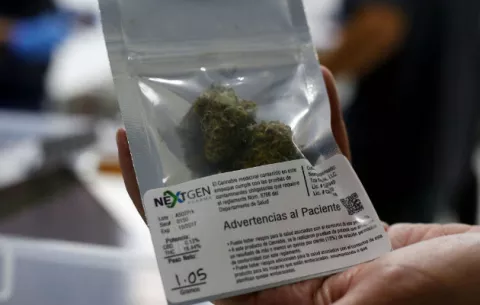 Fumar marihuana por placer ya es legal en toda la costa oeste de EE.UU.