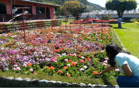 Arranca hoy la Feria de las Flores y del Café en Boquete