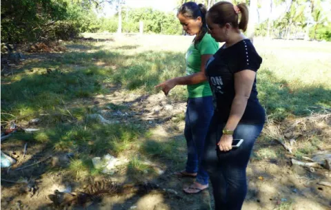 Envenenan a ocho perros en playa El Agallito de Chitré