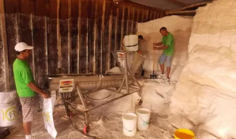 Buscan beneficios de financiamiento para productores de sal