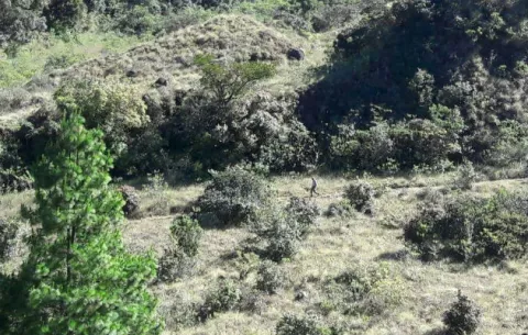 Comienza época de subir el famoso volcán Barú
