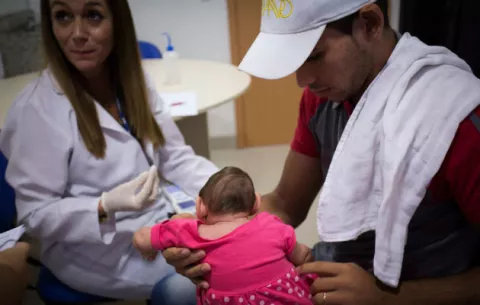 Científicos de EE.UU. identifican las siete proteínas más dañinas del virus de Zika
