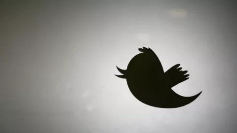 Cuatro herramientas para detectar perfiles falsos en Twitter 