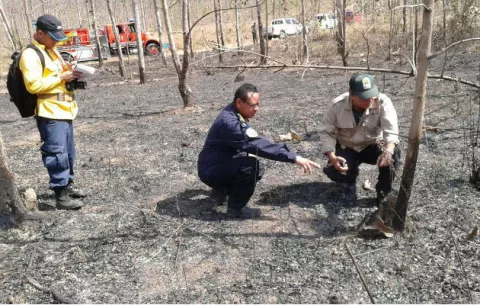Se incendian 11 hectáreas en finca de la familia Varela