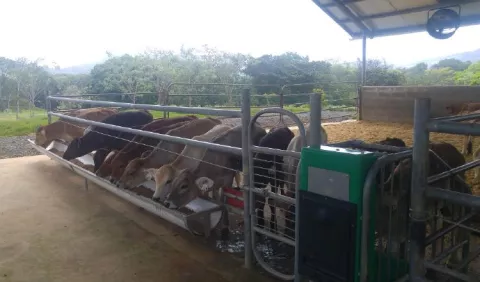 Apuestan a los créditos verdes  en sector agro 