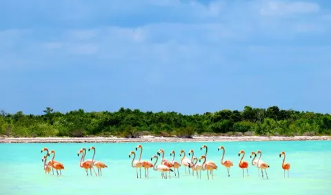 Paseo por   la biodiversidad