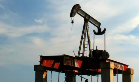Opep confirma baja en oferta de petróleo  y vaticina  más  demanda 