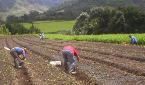  Productores exigen más controles