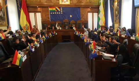 Aprueban subir las hectáreas legales de coca