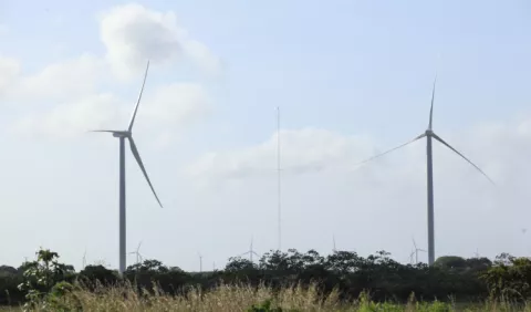 Evalúan   ampliar el parque eólico    
