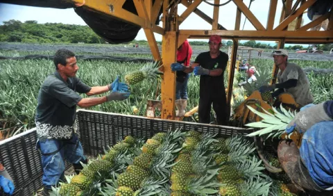 Panamá debe crear mayores oportunidades de negocio este año  