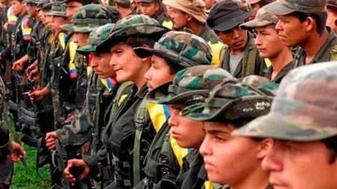 Pronto llegarán últimos 500 guerrilleros de las Farc a zonas transitorias