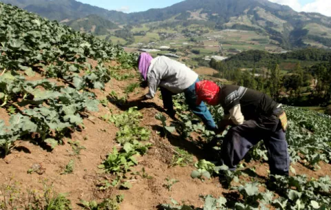 Varela vuelve a incumplirle a los productores