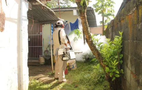Altos índices de dengue en David, Minsa advierte del peligro en verano