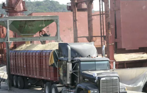 Interpondrán denuncias por comercialización de arroz contaminado