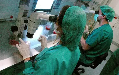 Científicos descubren que una bacteria aumenta la longevidad