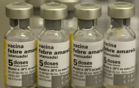 Brasil supera las cien muertes por fiebre amarilla en lo que va del año