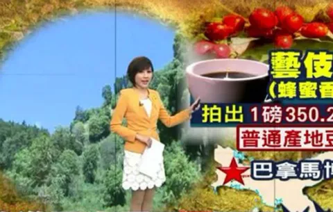 Compradores de Taiwán en Tierras Altas para conocer café geisha