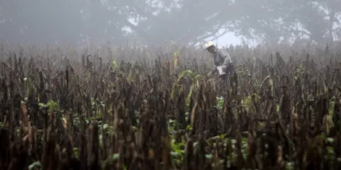 Impulsan financiamiento y gestión de la resilencia frente a riesgos climáticos