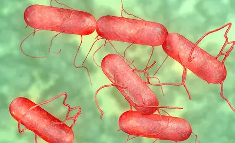 Nuevo mecanismo molecular para luchar contra las infecciones
