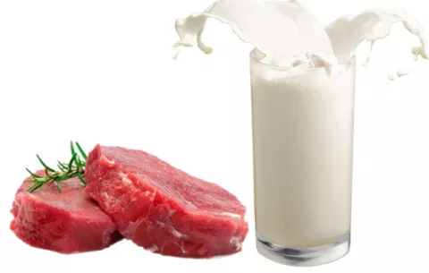 Minsa sancionará a empresa por promover la eliminación de lácteos y carne