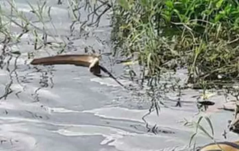 Hallan cuerpo flotando en la Costa Abajo de Colón 