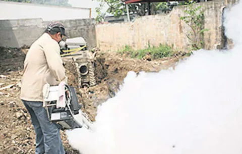 Se reportan 166 casos de dengue en Coclé
