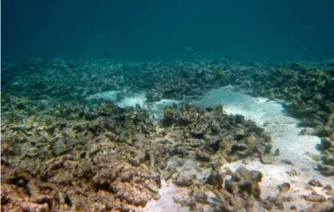 Descubren los restos de un gigantesco derrumbe submarino 