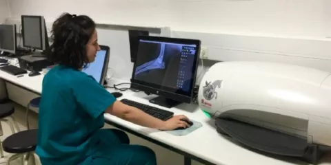 Panamá y Guatemala lideran la digitalización en las empresas en Centroamérica