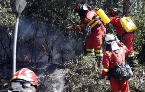 Los incendios forestales activos en Chile se reducen a medio centenar