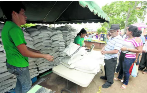 Construirán planta ecológica para procesar semillas de arroz en Panamá