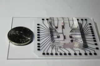 Científicos crean un método barato de diagnóstico con "laboratorio en chip"