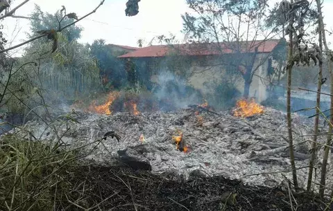 Incendio de masa vegetal deja a 100 familias afectadas en Santiago