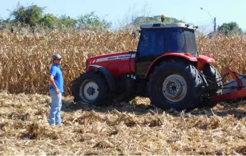 Molineros incumplen pacto de compra de maíz a productores santeños