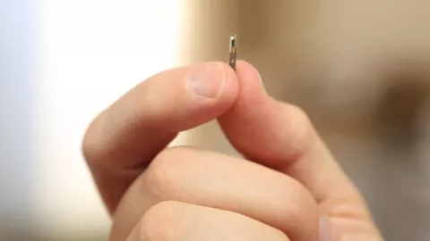 Una empresa belga implanta "chip" bajo la piel a 8 empleados voluntarios