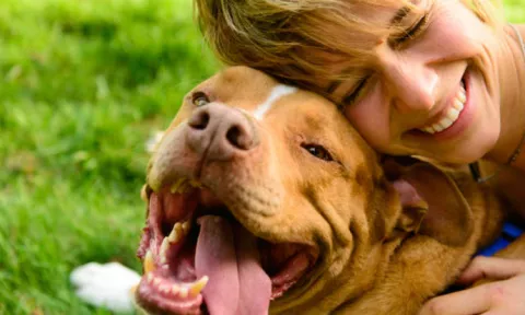 Los perros son parecidos a sus dueños